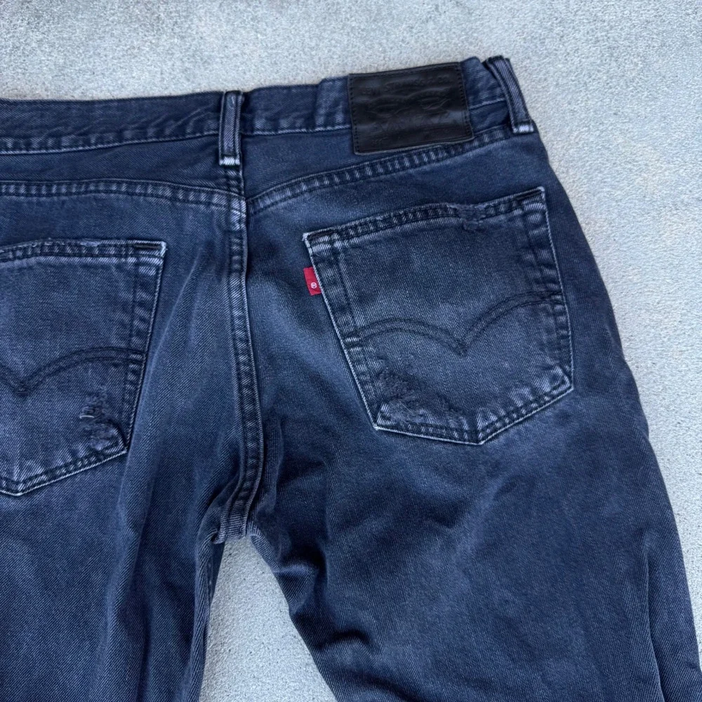 Levis levis 511
